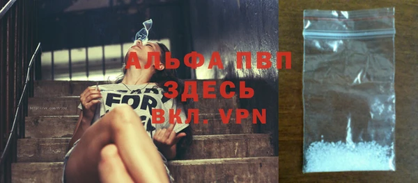 ПСИЛОЦИБИНОВЫЕ ГРИБЫ Вяземский