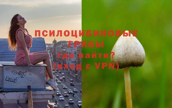 бутират Волосово